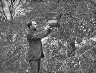 Ernest Bell - Vegetarian Society President