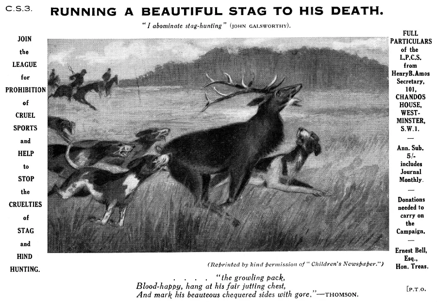 League for Prohibition of Cruel Sports Stag Hunting postcard